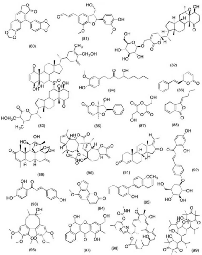 Structure of molecules with potent COX-2 and PGE2 inhibitory activity